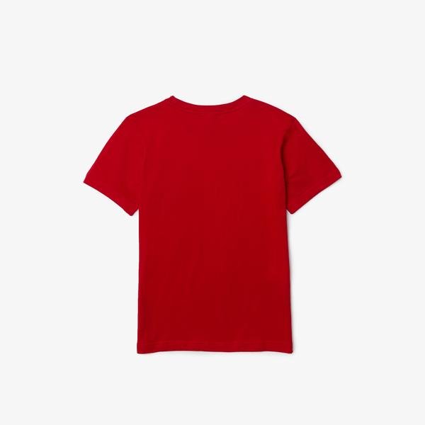 Lacoste Dětské tričko z bavlněného žerzeje s výstřihem ke krku